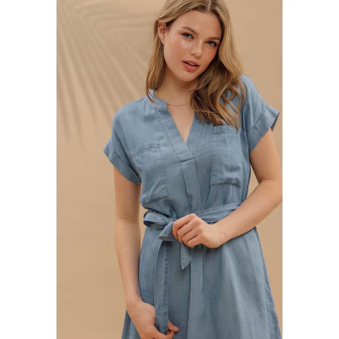 Chambray Dress