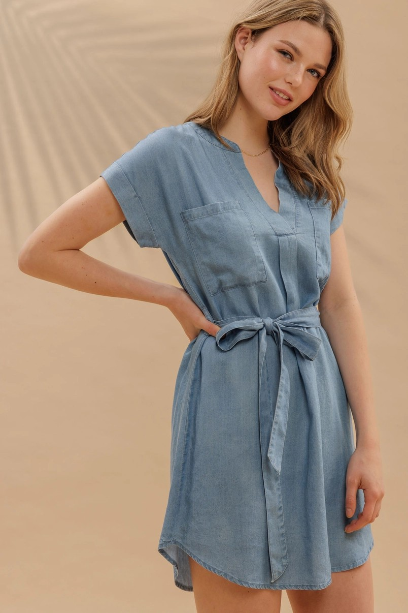 Chambray Dress