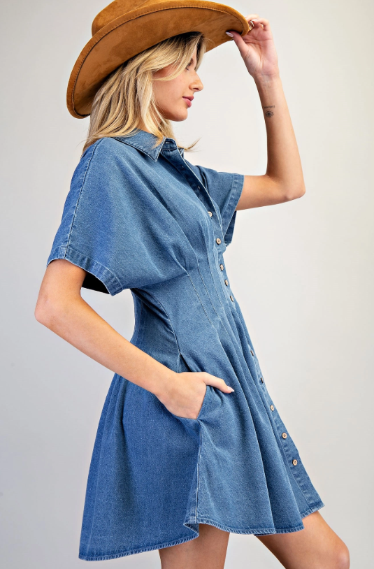 Pleated Denim Dress